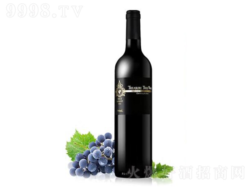 ĴPϼ613ɼtѾ750ml-tϢ
